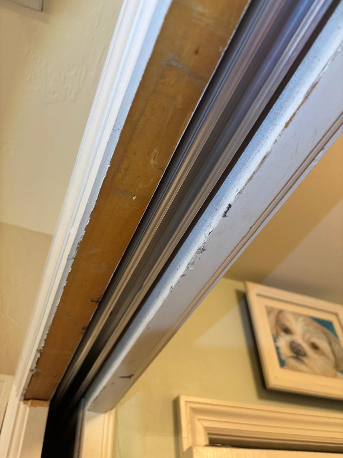 Pocket door track issues in West Palm Beach, FL