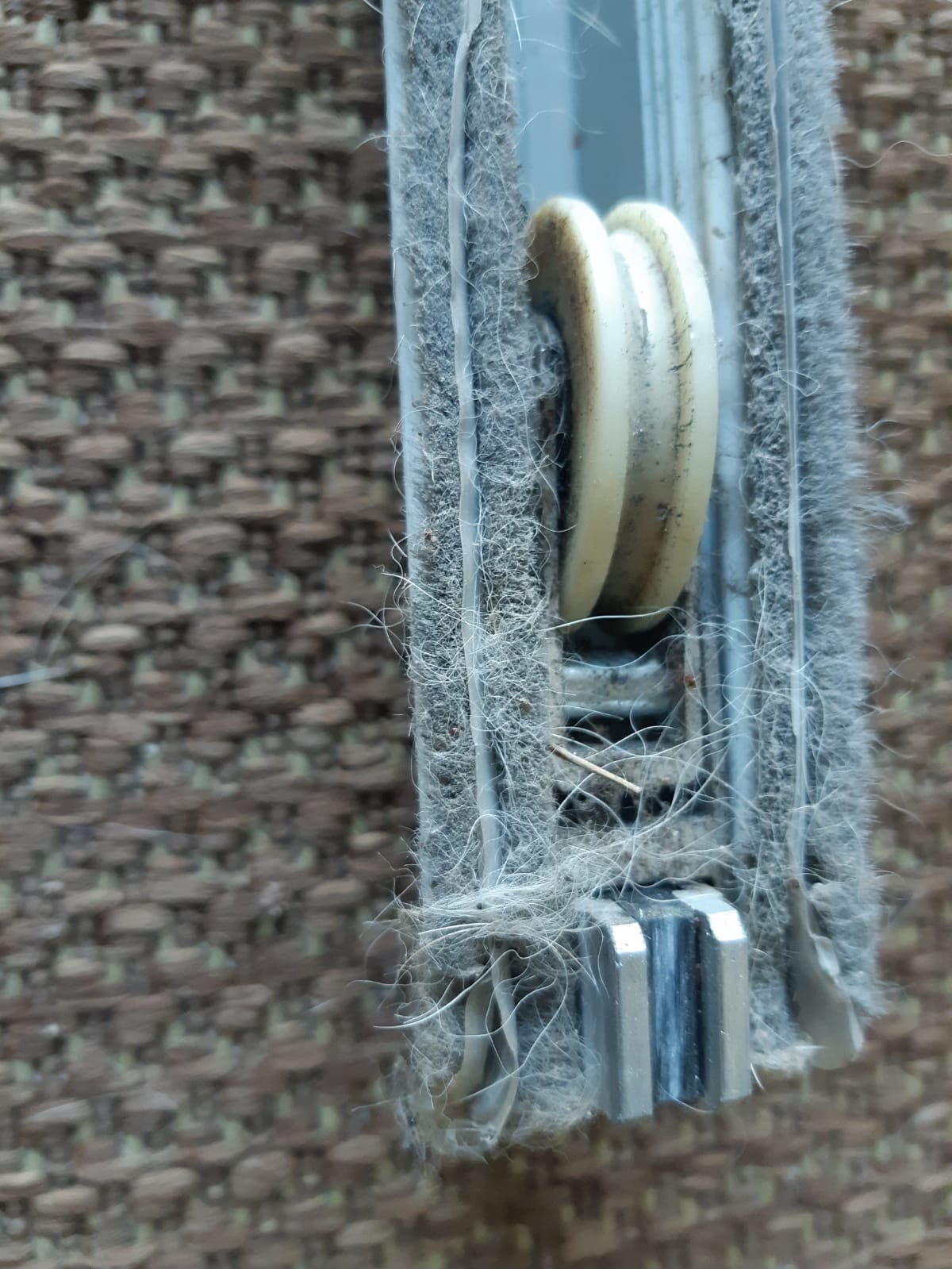 Heavily debris-clogged nylon tandem roller cartridge removed from sliding door frame, South Florida